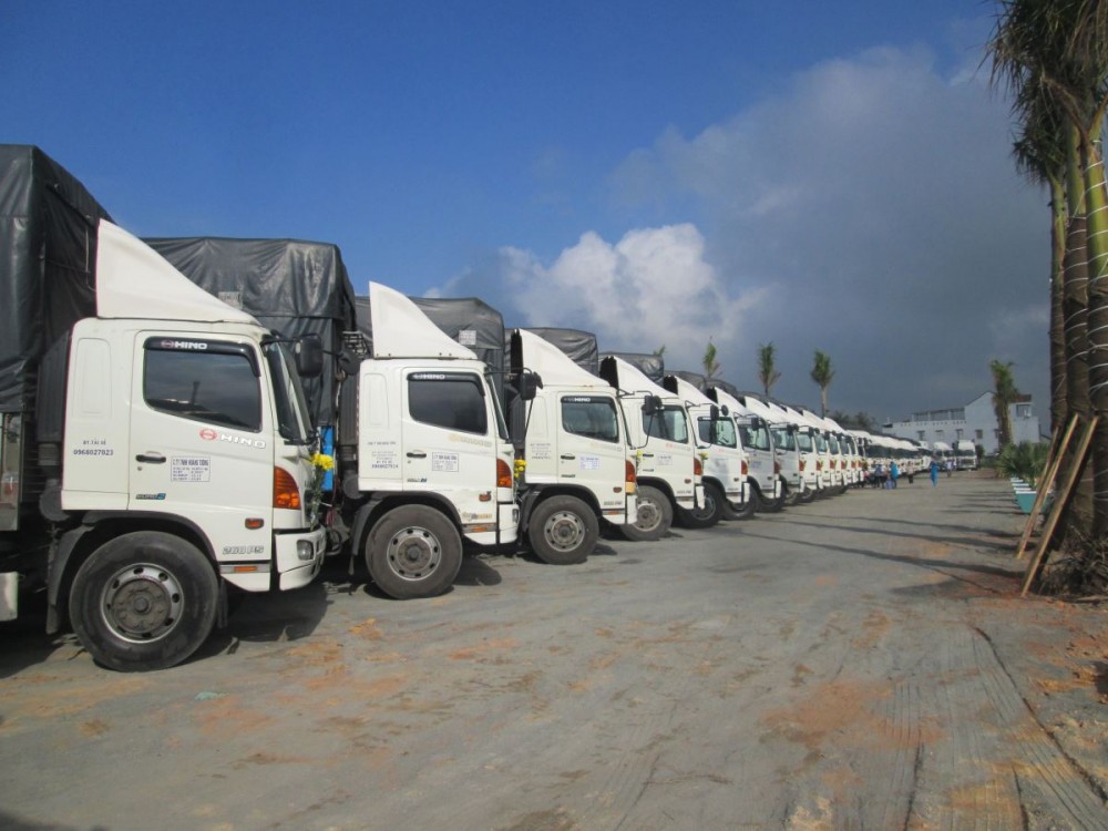 Chanh Xe Tuan Hau Vung Tau Uy Tin, Gia Re