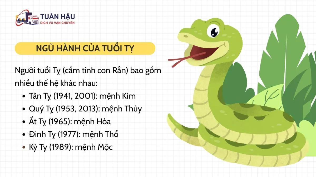 Bản mệnh ngũ hành của từng tuổi Tỵ