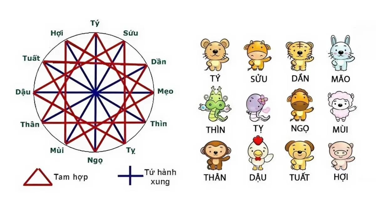 Mối quan hệ tam hợp và tứ hành xung của 12 con giáp